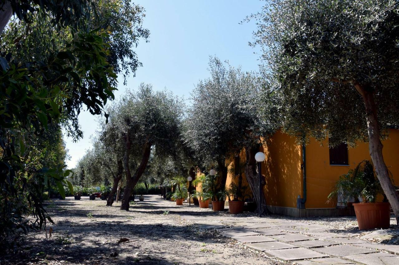 Riviera Degli Eucalipti - Cottage In Riva Al Mare Acireale Buitenkant foto