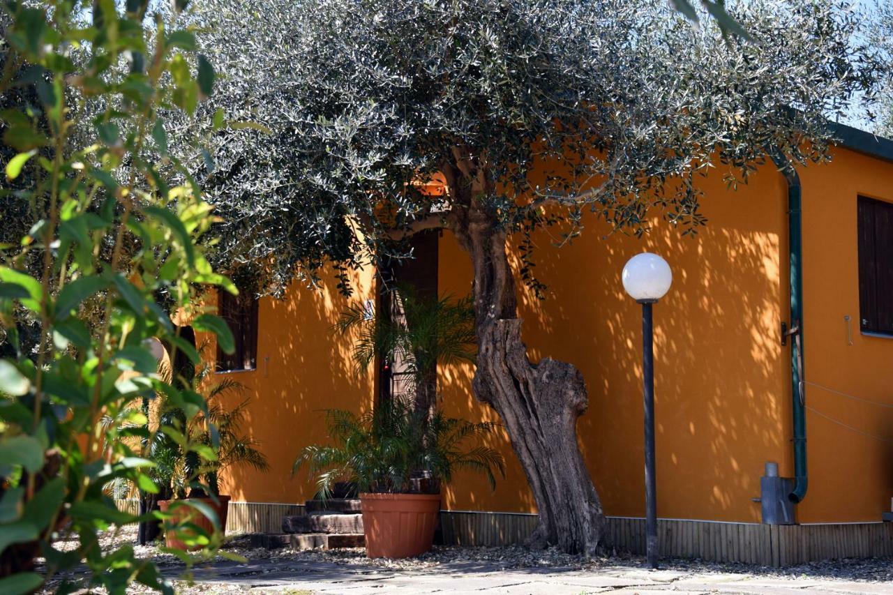 Riviera Degli Eucalipti - Cottage In Riva Al Mare Acireale Buitenkant foto