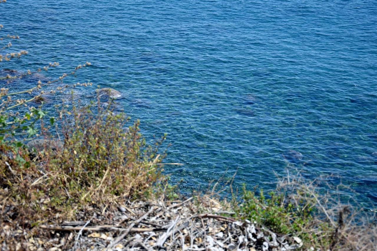 Riviera Degli Eucalipti - Cottage In Riva Al Mare Acireale Buitenkant foto