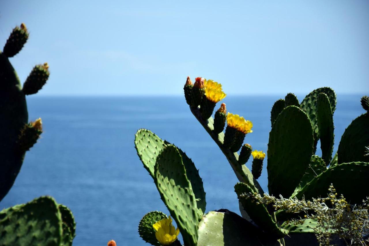 Riviera Degli Eucalipti - Cottage In Riva Al Mare Acireale Buitenkant foto